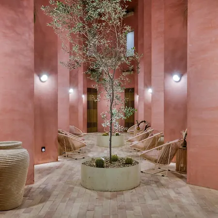 Laiva Hotel San Jose By Tasman