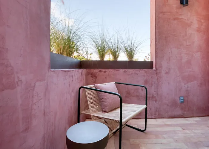Laiva San Jose By Tasman Hotel San Jose del Cabo